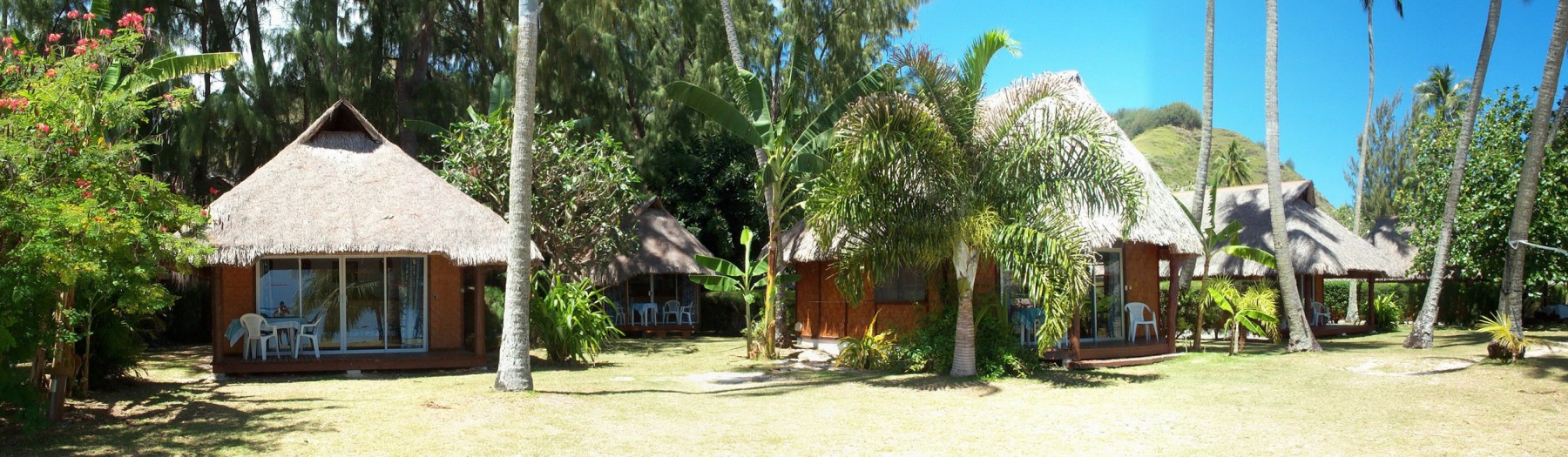 Pension Les Tipaniers